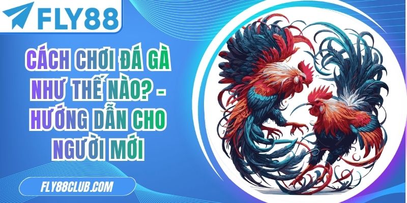 Cách Chơi Đá Gà