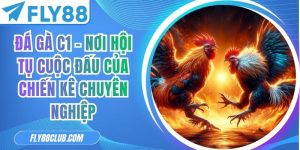 Đá gà C1