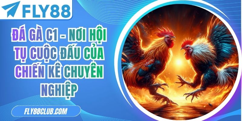 Đá gà C1