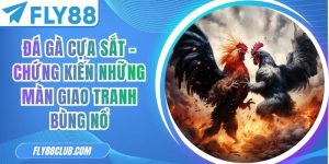 Đá Gà Cựa Sắt