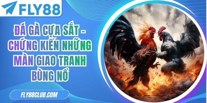 Đá Gà Cựa Sắt