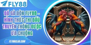 Đá Gà Đòn FLY88