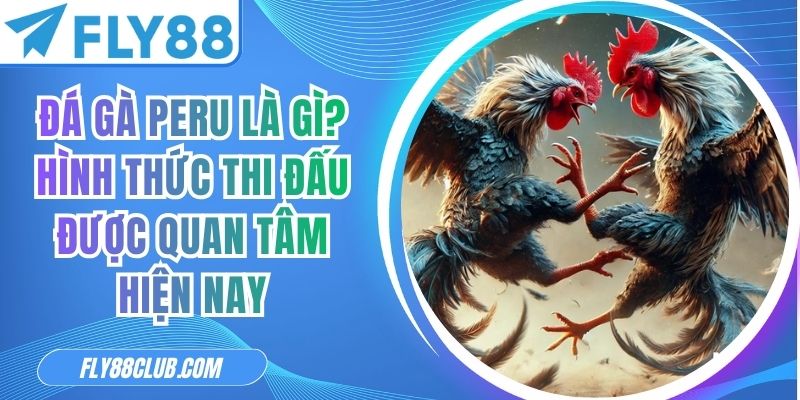 Đá Gà Peru