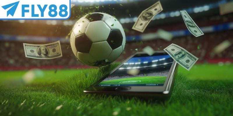 Tỷ lệ nửa nửa là mức cược cho dân cược chơi dài hạn