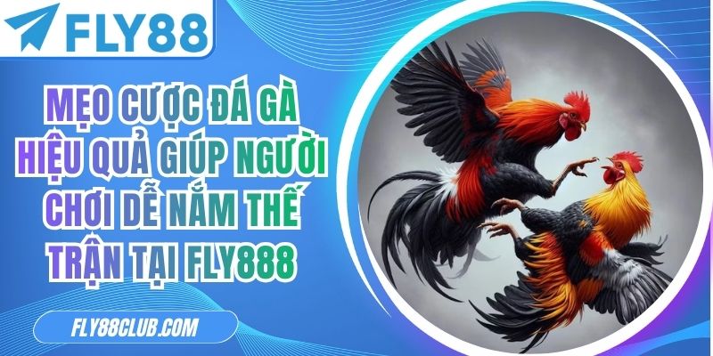 Mẹo Cược Đá Gà